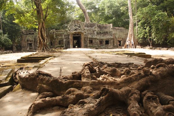 TaProhm